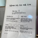 [역삼] 강남 비건카페 &#39;듀공 역삼점&#39; 젤라또 3종 후기