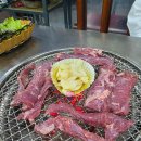 양촌갈매기
