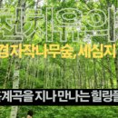 낙동강변로3-3 네이버블로그
