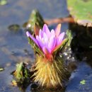 행운산업 이미지