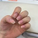 [안양/박달동] 네일 유목민의 정착지 "네일데이즈" 크리스마스네일 내돈내산 후기