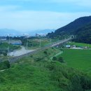 플로라 호스텔 이미지