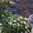 프라비타 민박 이미지