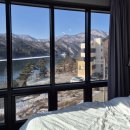 플로르펜션 이미지