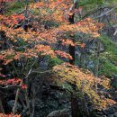 가마골어린이공원 이미지