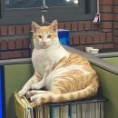 법상동경로당 이미지