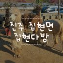 집현면1 | 진주 집현면 [집현다방] 알파카를 볼 수 있는 이색 카페 솔직 후기