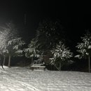 양평숲 비룡캠프장 이미지