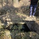 신수도 대구동 이미지