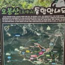 2025.09.06 장흥군 천관산 탑산사,소등섬,수문해수욕장.명교해수욕장,율포해수욕장,보성 오봉산 이미지