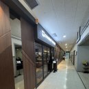 부산초밥 | 센텀시티 초밥뷔페 | 고메스퀘어 벡스코점 솔직 후기 | 부산 초밥뷔페 추천