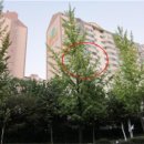 분당-312 이미지