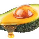 아보카도 이미지