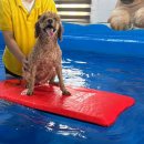 옐레드 하남미사점 이미지