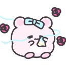 이래서 에스테틱