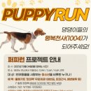퍼피런 이미지