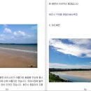 피노엔키오