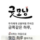 오늘도소중한하루