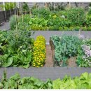 가든키친(Garden Kitchen) 이미지
