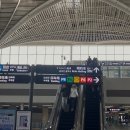 택시승차장 | 칭다오 공항에서 시내가는 방법 디디 택시 이용 후기 타는곳