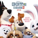 마이펫의 이중생활 이미지