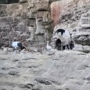 서울SOS어린이마을 내부 | 서울] 아이와 가을 단풍 나들이 │서울어린이대공원 무료입장 동물원