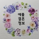 애플결혼정보 이미지