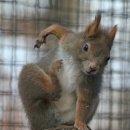 조던농장 이미지