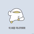 금남멧돼지 이미지