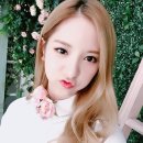 온니몰 Daum카페