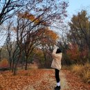 레드페이스안산 | 레드페이스 아웃도어 등산화, 가을 등산 아웃도어룩