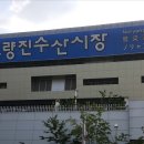 바다회일번지 이미지