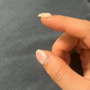 네일디테일리스트 | [연수/송도] 연수구/송도 네일 : 네일 디테일리스트 +) 3주뒤 뗀 후기 ㅜ