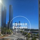 카멜리아오뜨공인중개사사무소 | 해운대카멜리아오뜨 저층뷰 예쁘게 나와요