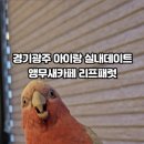 리프패럿광주 - 북구 하서로483번길 8 | 리프패럿광주
