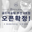 골드 레슬링 부산 네이버블로그