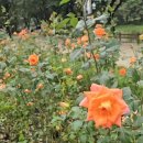 장자호수생태공원 이미지