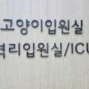 죽전예담동물병원 이미지