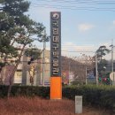 대구박물관 이미지