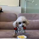 카라즈 스퀘어 이미지