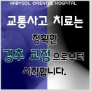 나비솔한의원 이미지