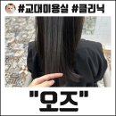 클리닉리서치 | 교대역 미용실 오즈 서초교대점 모발케어 크리닉 시술후기!