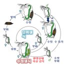 동진식품(주) 이미지