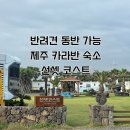중문카라반 | [애견동반 제주여행2] 제주 반려동물 동반 숙소 후기｜제주 대정 선셋코스트 카라반 오션뷰 캠핑