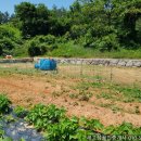 우원부동산공인중개사사무소 이미지