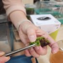 마루공방 | [부산/남포]부산테라리움 공방 쏘슬로우플랜트랩에서 테라리움 원데이클래스 후기😉