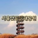 경기도 가볼 만한 곳 체험, 볼거리가 다양한 시흥갯골생태공원