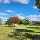 통일동산(5) 근린공원 이미지