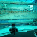 동운주유소 이미지