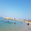 씨랜드펜션 이미지